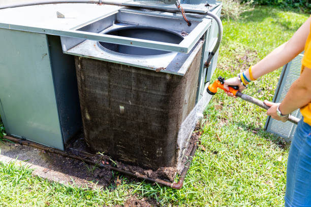 Best Air Duct Mold Removal  in Oronoco, MN