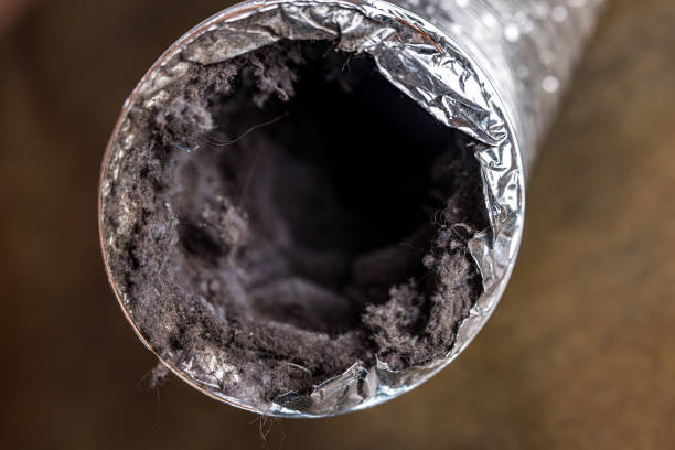 Best Local Air Duct Cleaning Services  in Oronoco, MN